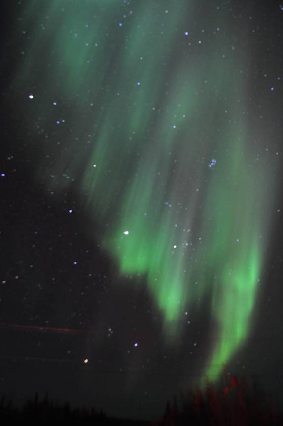 Nossa mais bela Aurora Boreal, nos céus de Tok, no Alaska